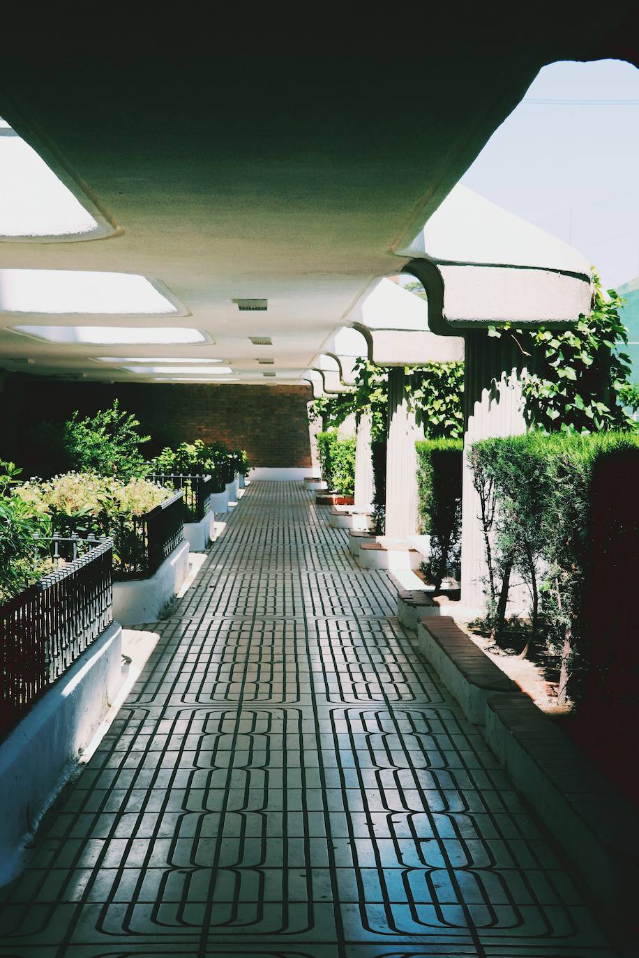 Fotos: Dentro del edificio Iturbi