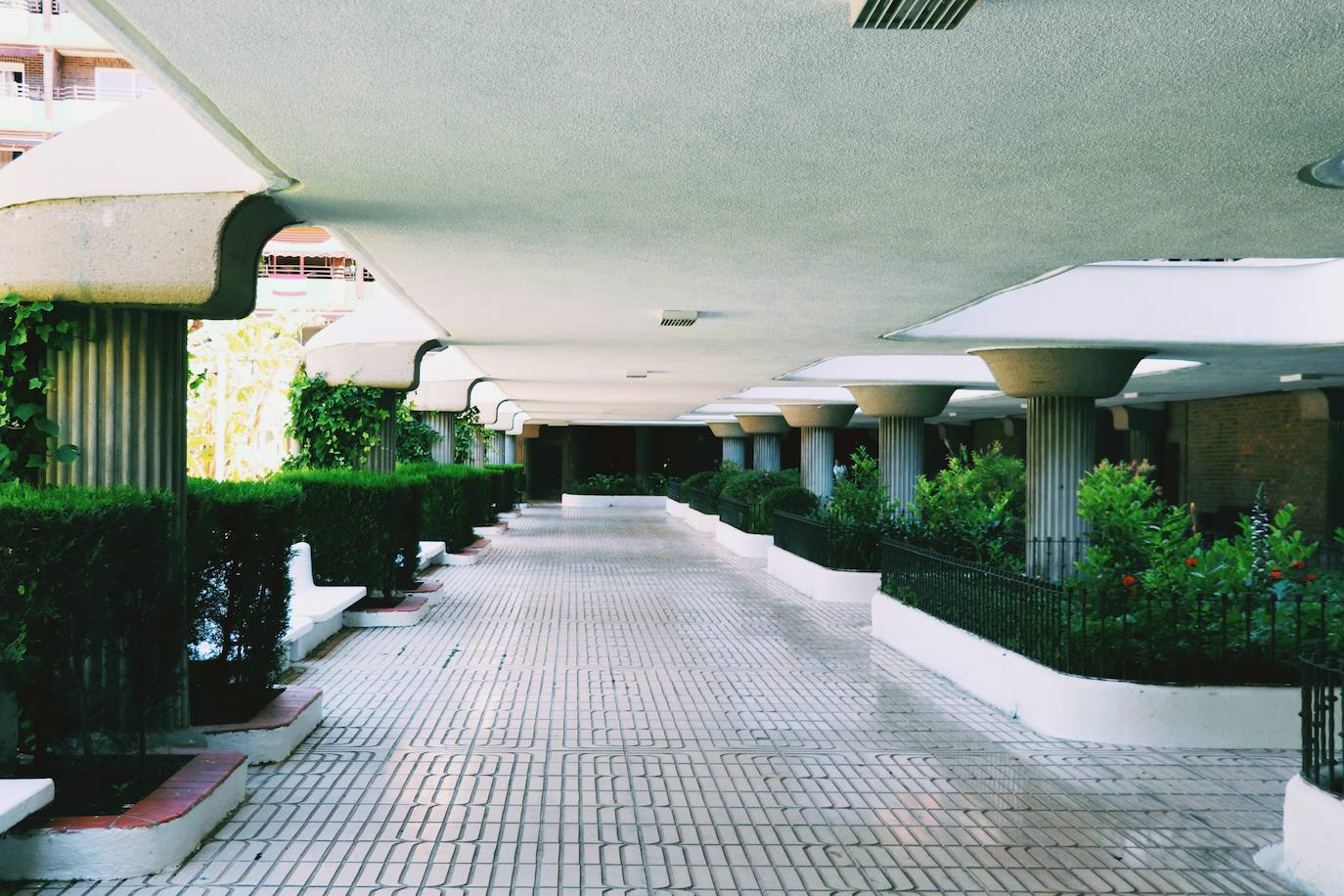 Fotos: Dentro del edificio Iturbi