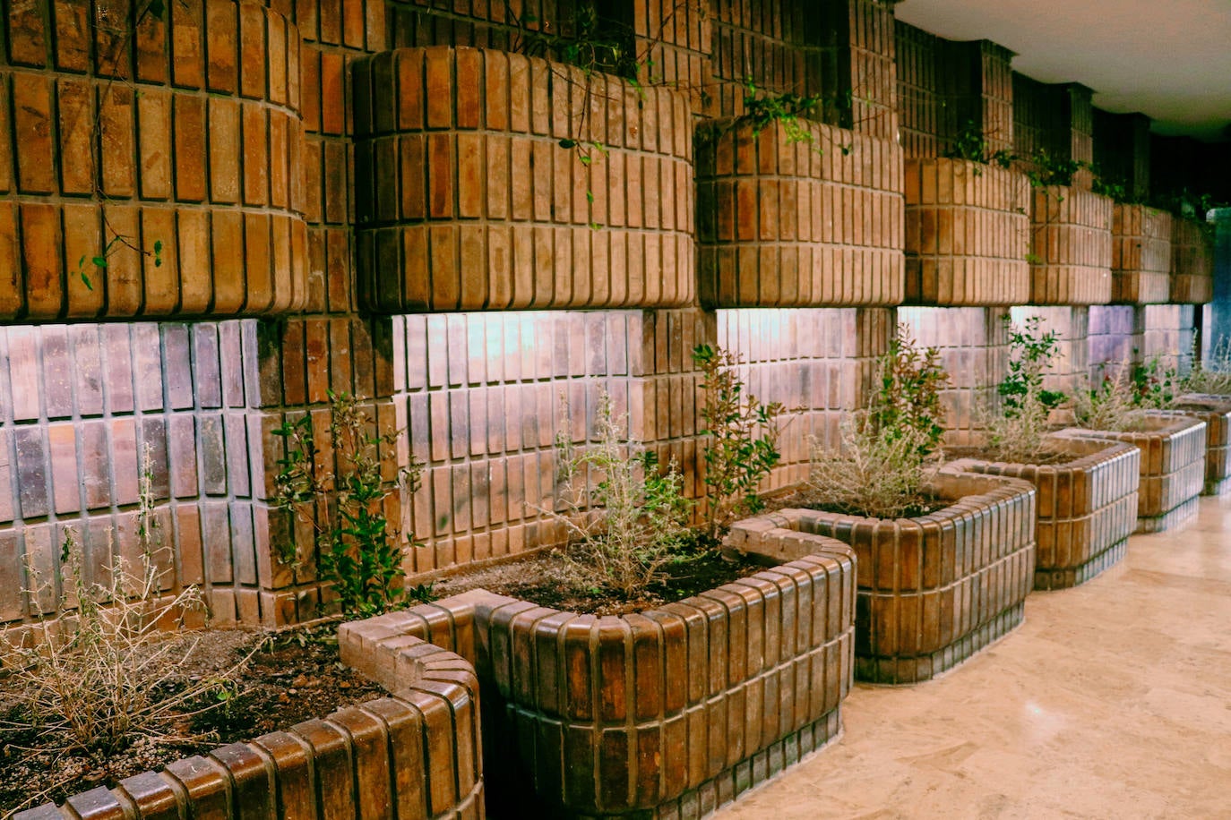 Fotos: Dentro del edificio Iturbi