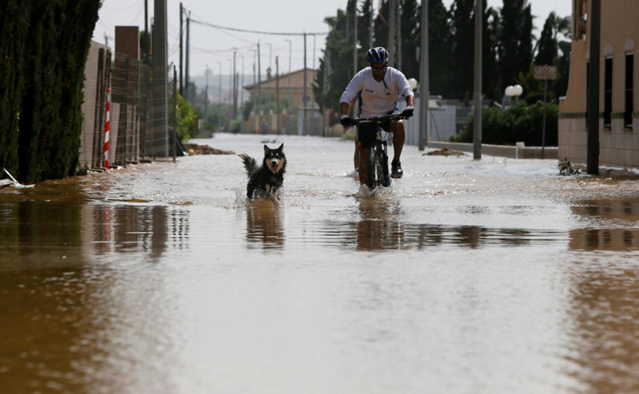 Un hombre y un perro, este domingo por una calle inundada en Daya Vieja, en la zona donde se busca al desparecido. 