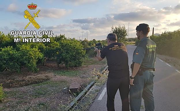 Momento de la captura de la vaca en Almenara-