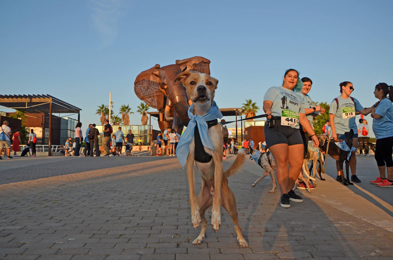 Fotos: Can-rrera Bioparc 2019: animales y dueños corren juntos en Valencia