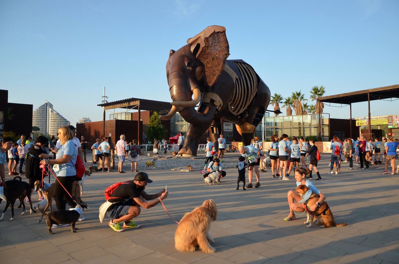 Fotos: Can-rrera Bioparc 2019: animales y dueños corren juntos en Valencia