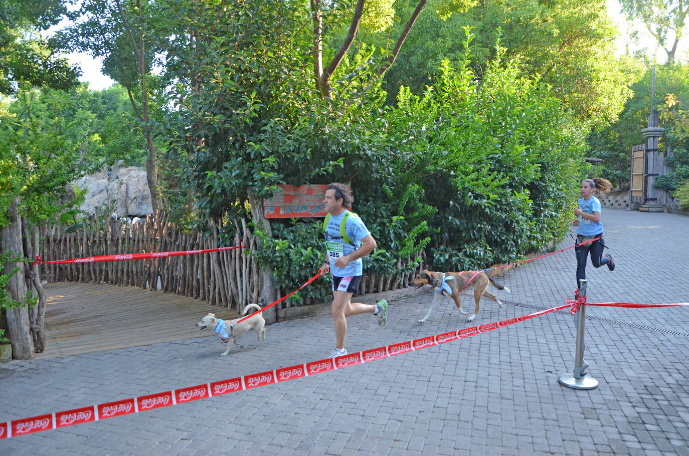 Fotos: Can-rrera Bioparc 2019: animales y dueños corren juntos en Valencia