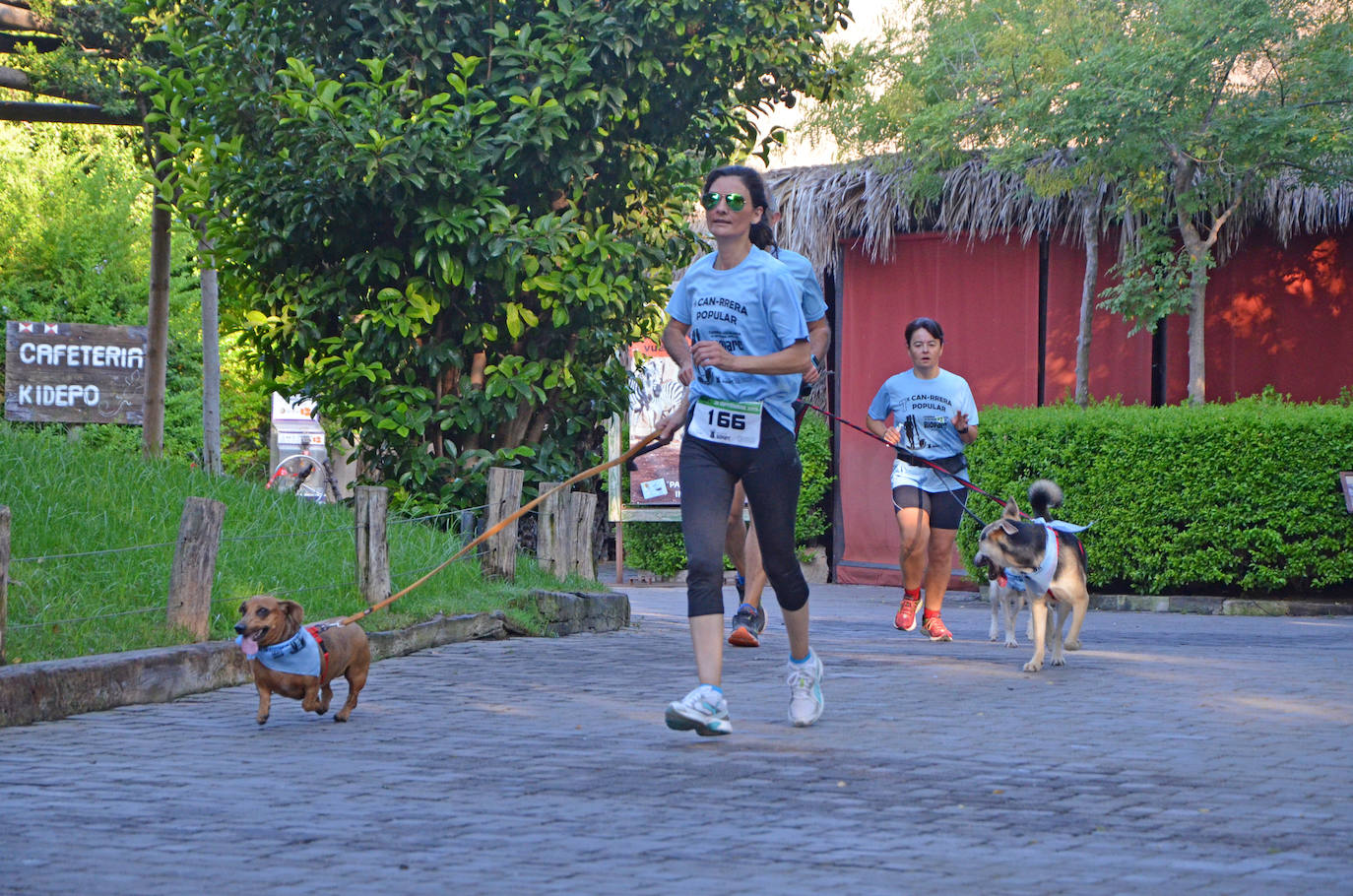 Fotos: Can-rrera Bioparc 2019: animales y dueños corren juntos en Valencia