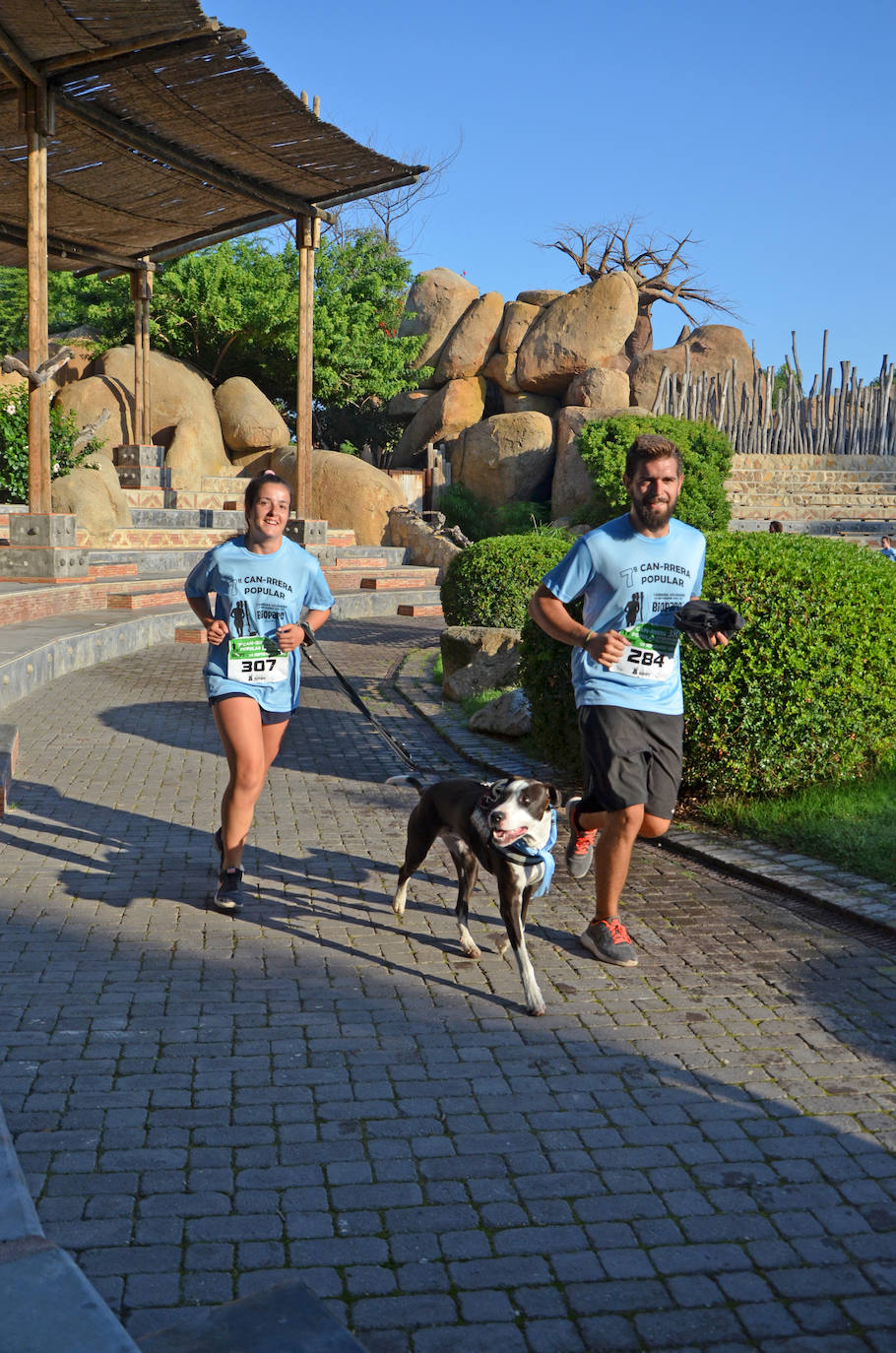 Fotos: Can-rrera Bioparc 2019: animales y dueños corren juntos en Valencia