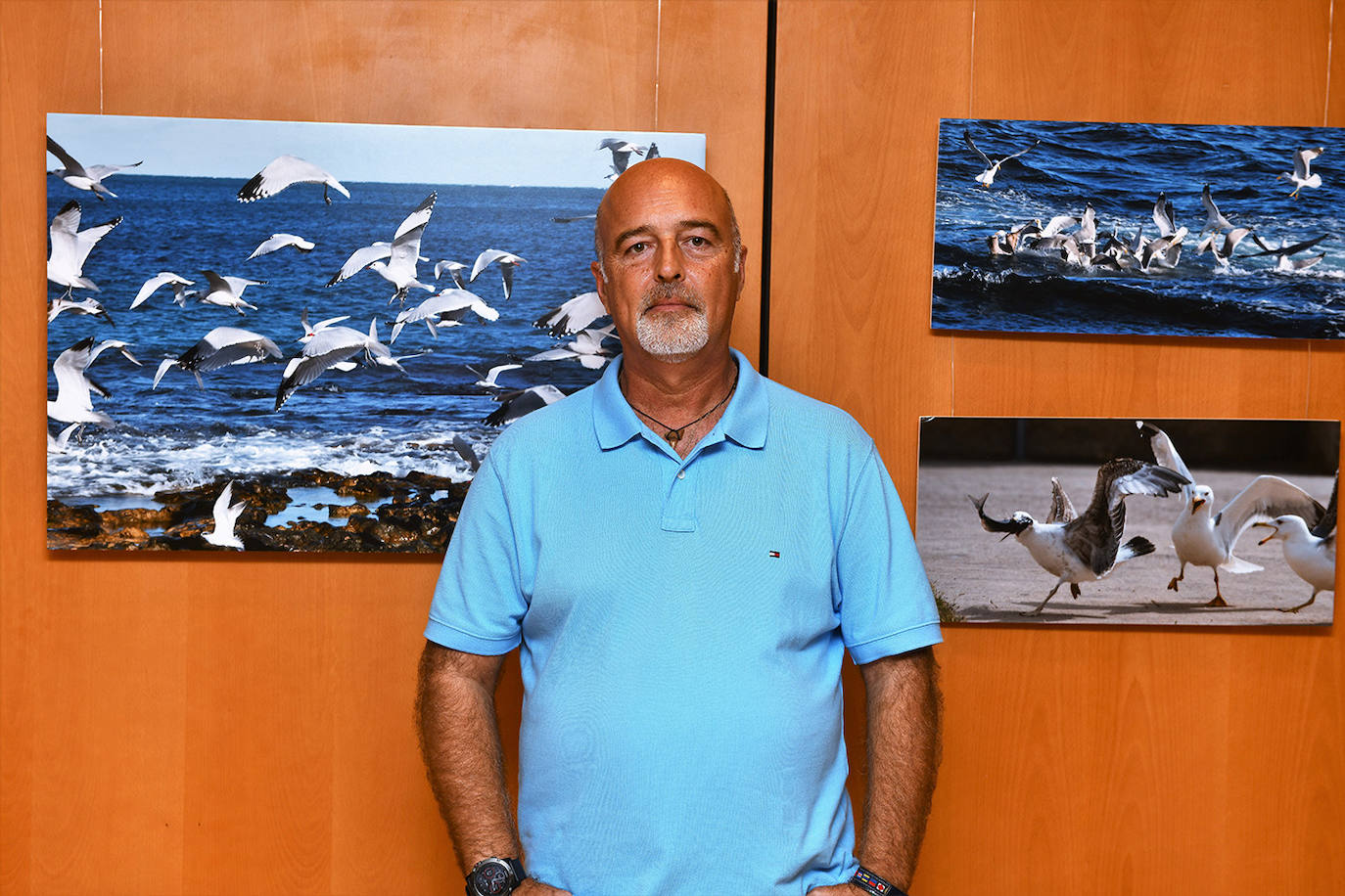 Inauguración de la exposición 'Aves a la mar' organizada por el Rotary Club Jávea en beneficio de End Polio Now