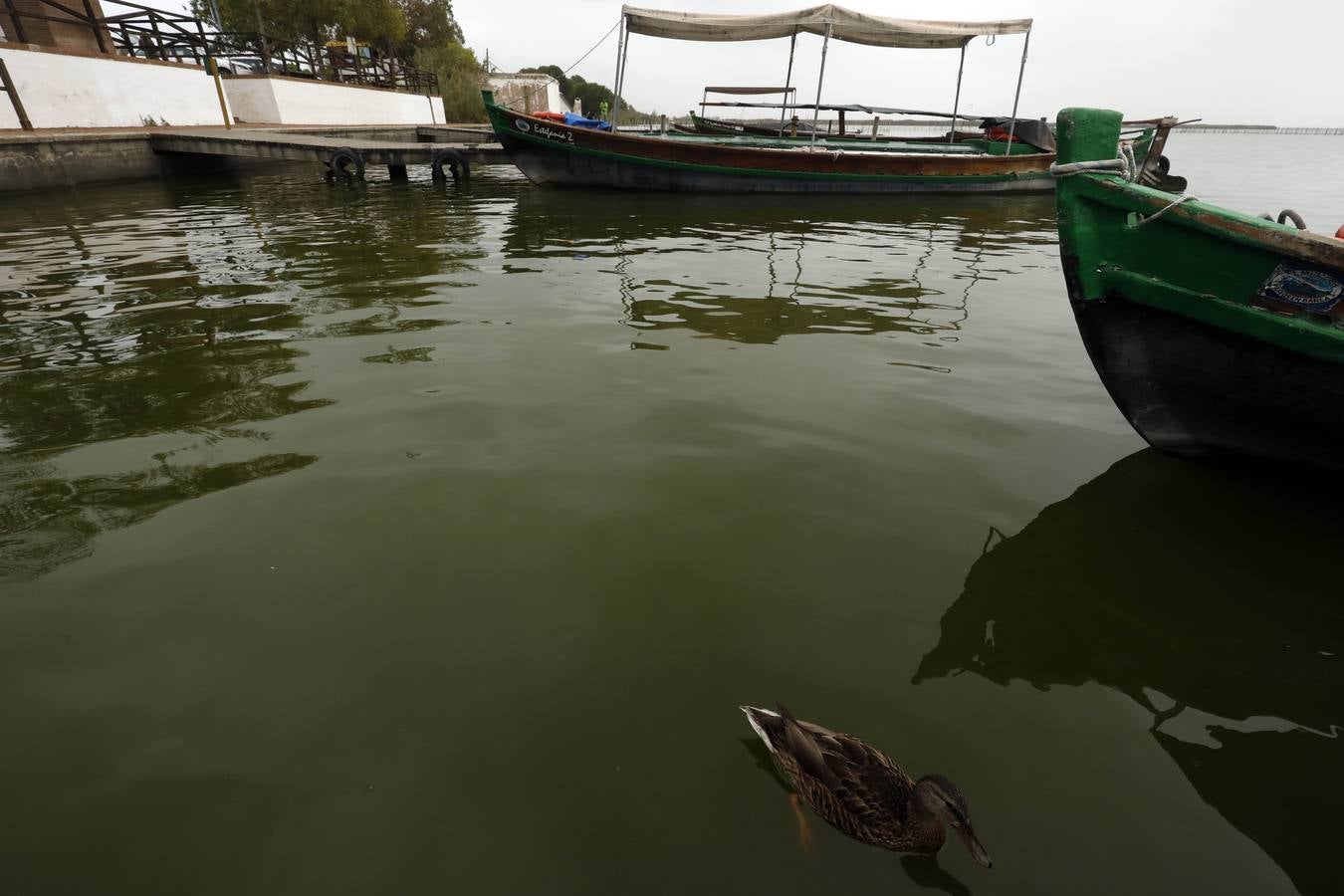 La falta de agua de calidad, los sedimentos y la inacción de las administraciones amenazan el futuro del parque natural