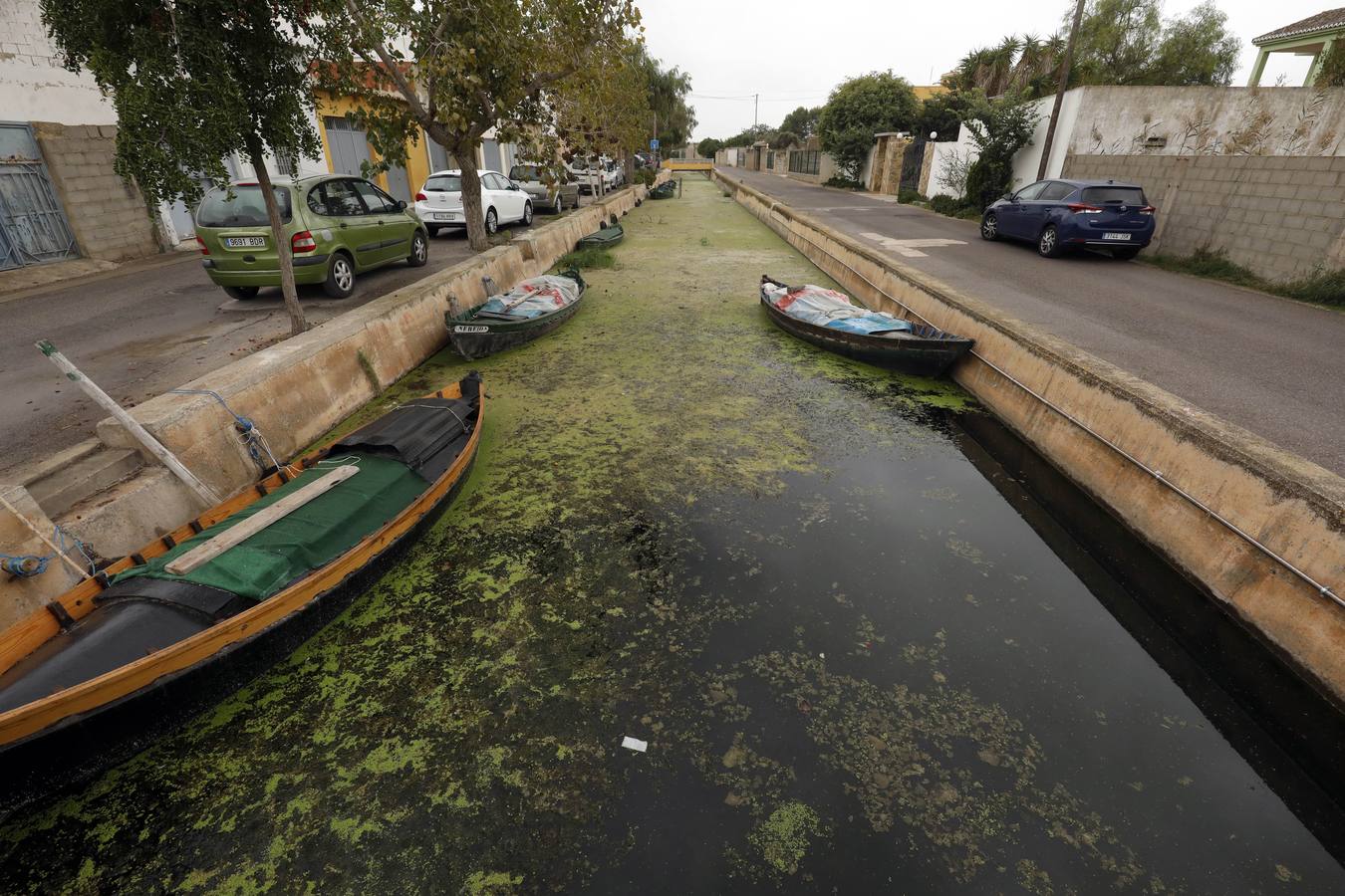 La falta de agua de calidad, los sedimentos y la inacción de las administraciones amenazan el futuro del parque natural