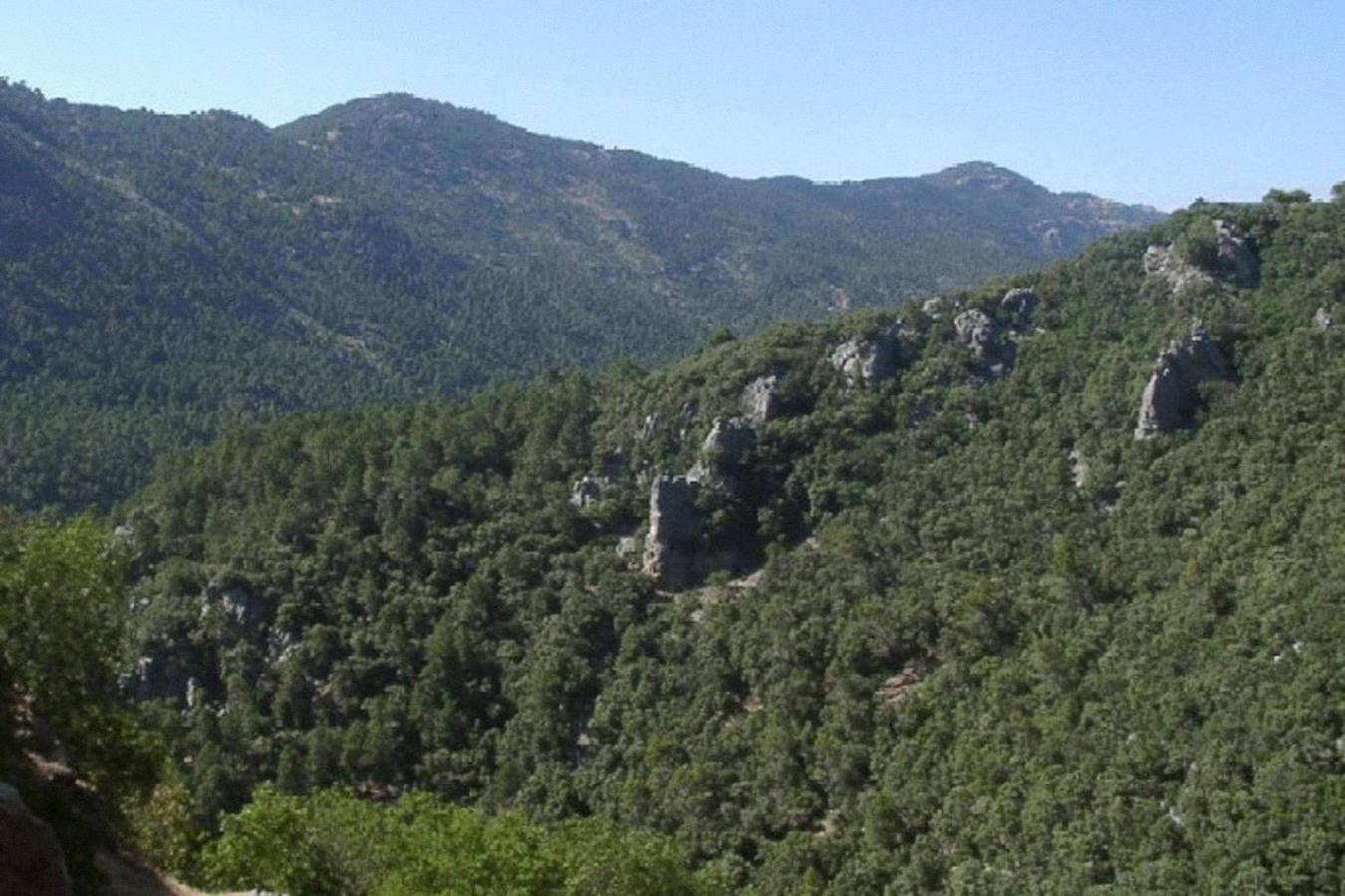 Sierra de Guadarrama (Ávila, Madrid, Segovia)