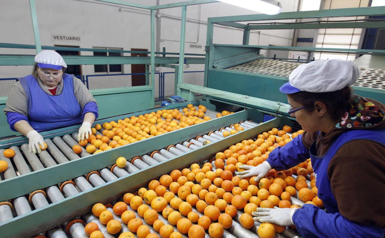 Salario | ¿Cuánto ganan los valencianos?