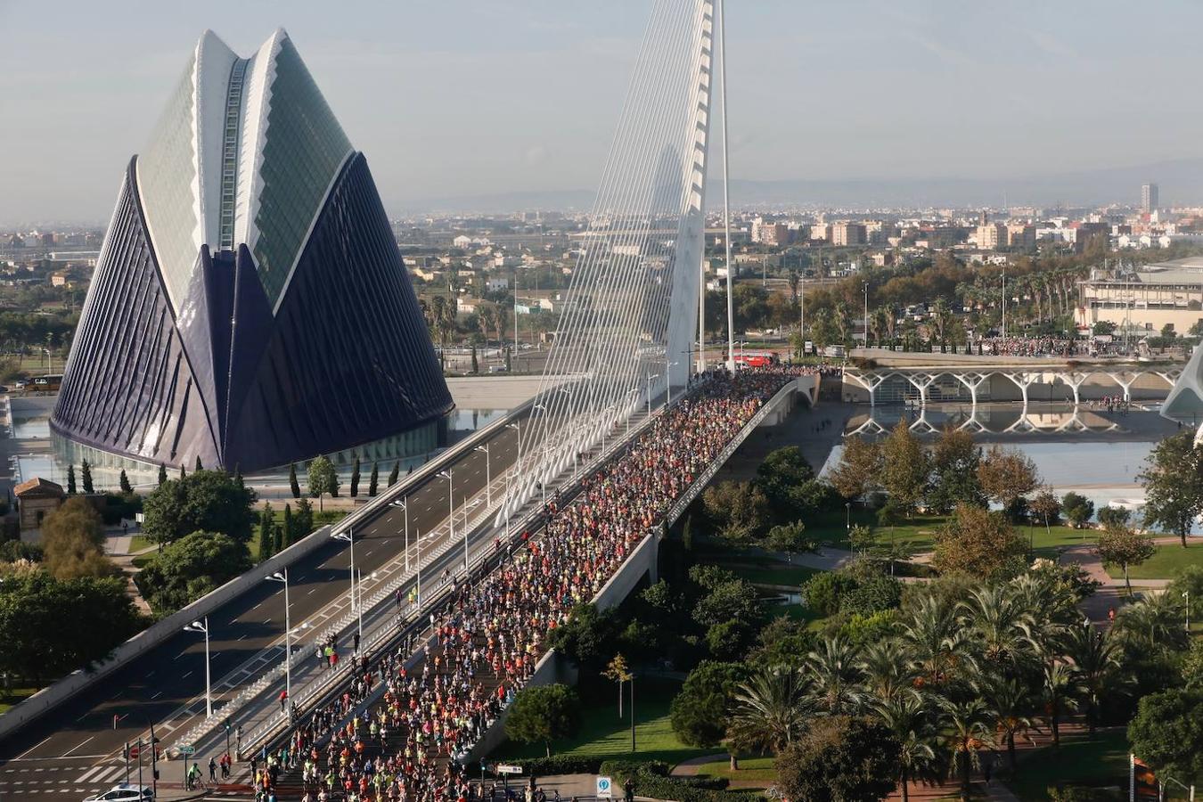 Fotos: Las mejores imágenes del Medio Maratón de Valencia 2019