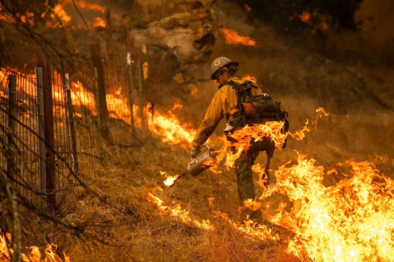 Fotos: Incendios forestales en California