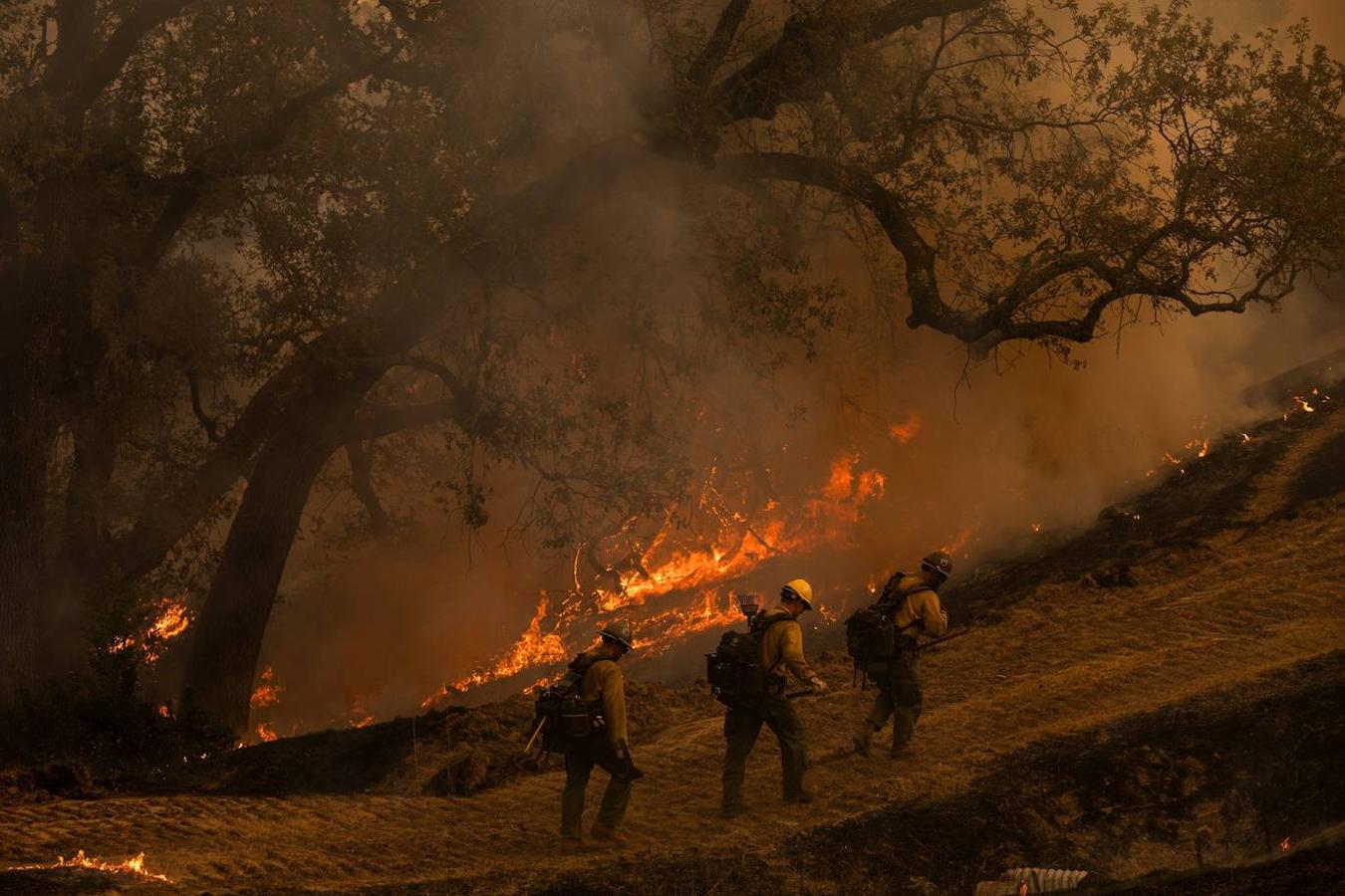 Fotos: Incendios forestales en California