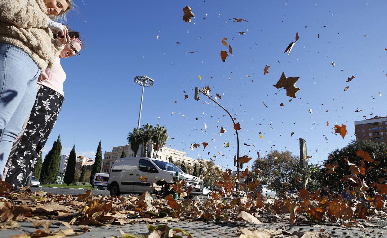 Día de viento en Valencia. 