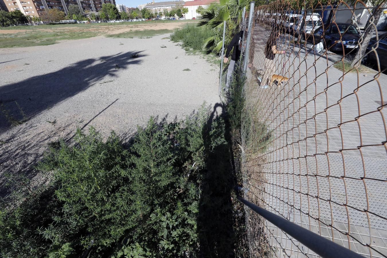 Nou Moles. Un centro de mayores. Casilda Osa, presidenta de la asociación vecinal asegura que el Consistorio actual les ha ignorado en sus peticiones «desde que llegaron en 2015». Entre ellas está la construcción de un centro de personas mayores, al señalar que «el barrio está envejecido y hay mucha lista de espera».