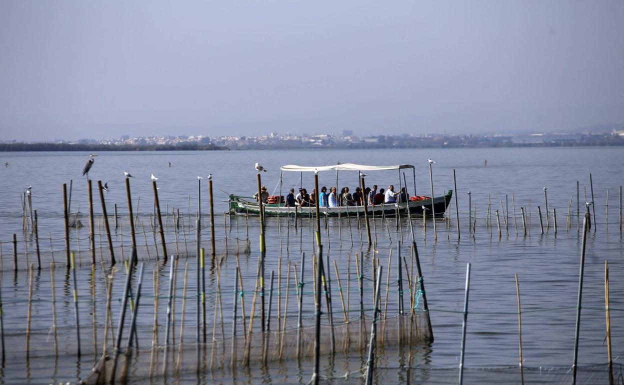 Una embarcación llena de turistas, junto a un redolí en la Albufera. 