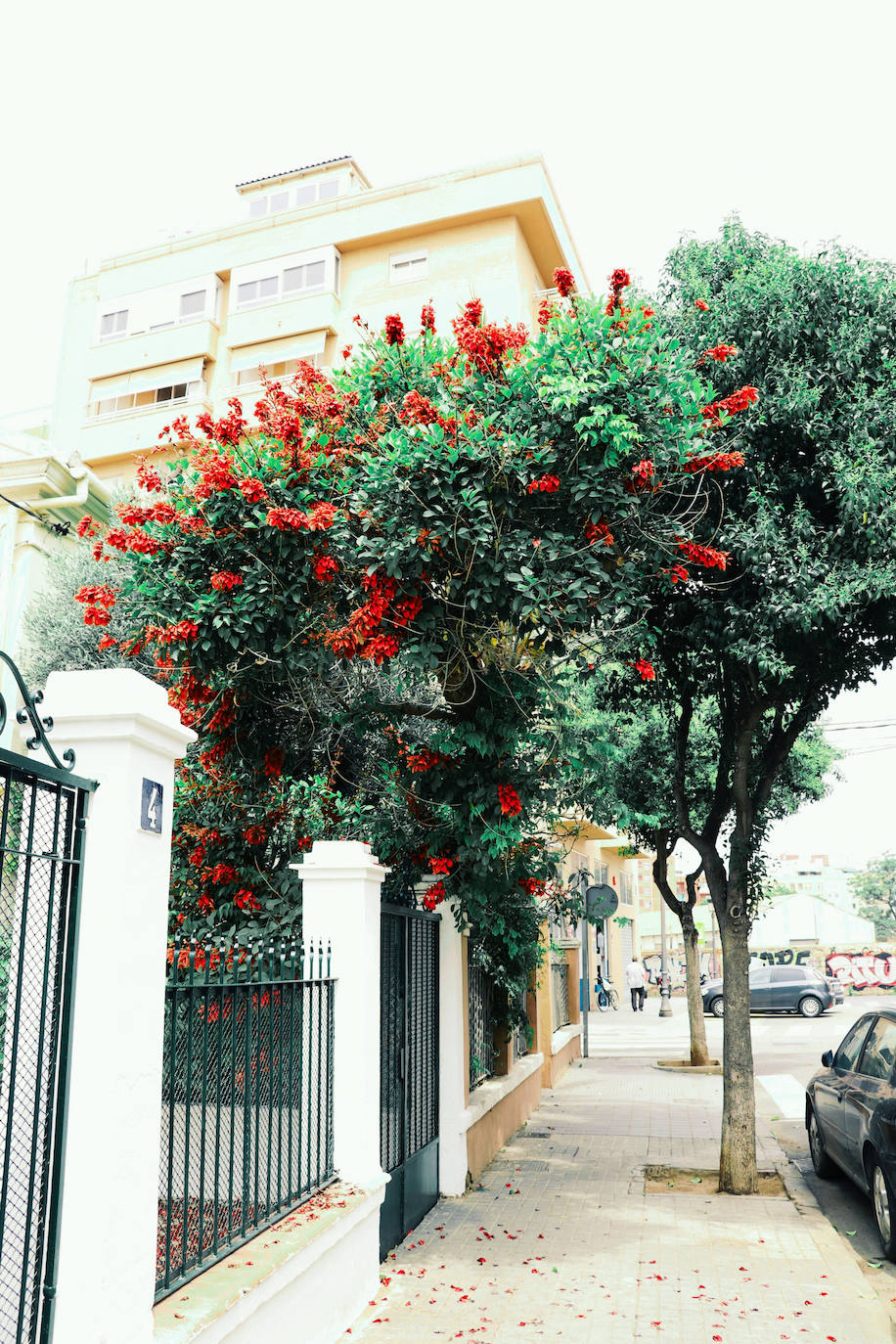 Fotos: Dentro de las casas &#039;La Previsora&#039;