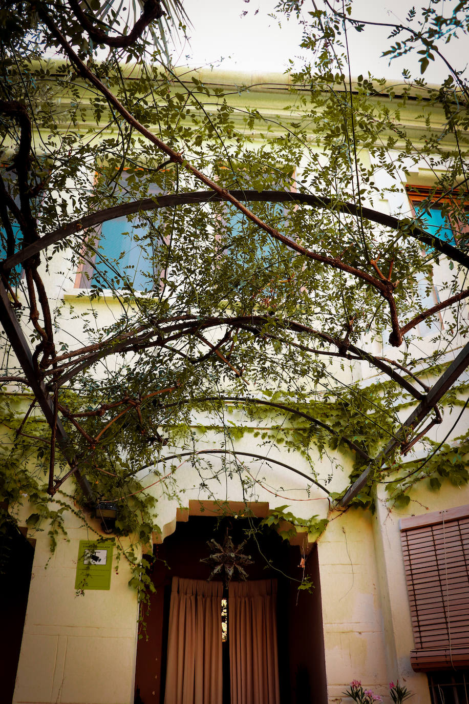 Fotos: Dentro de las casas &#039;La Previsora&#039;