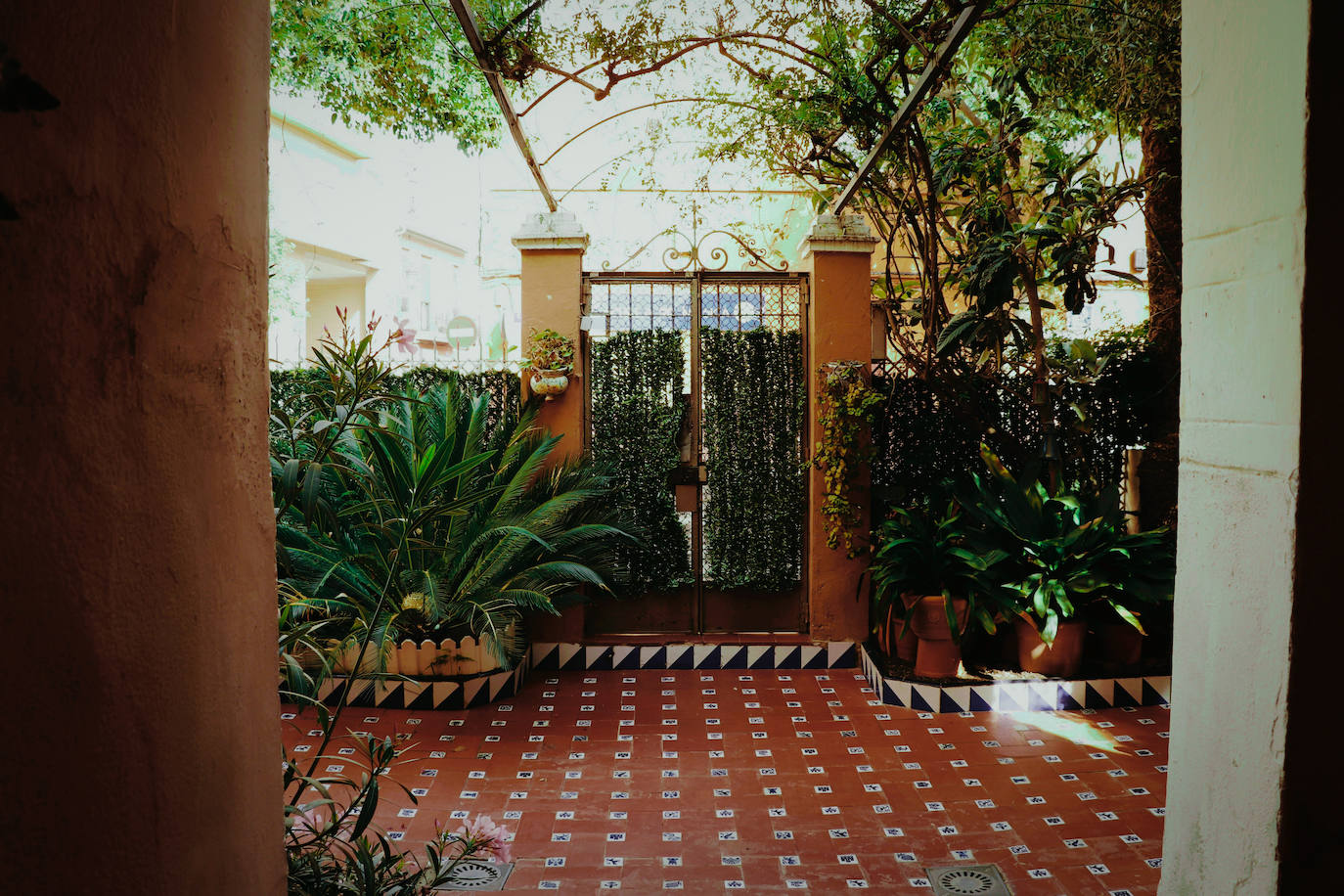 Fotos: Dentro de las casas &#039;La Previsora&#039;