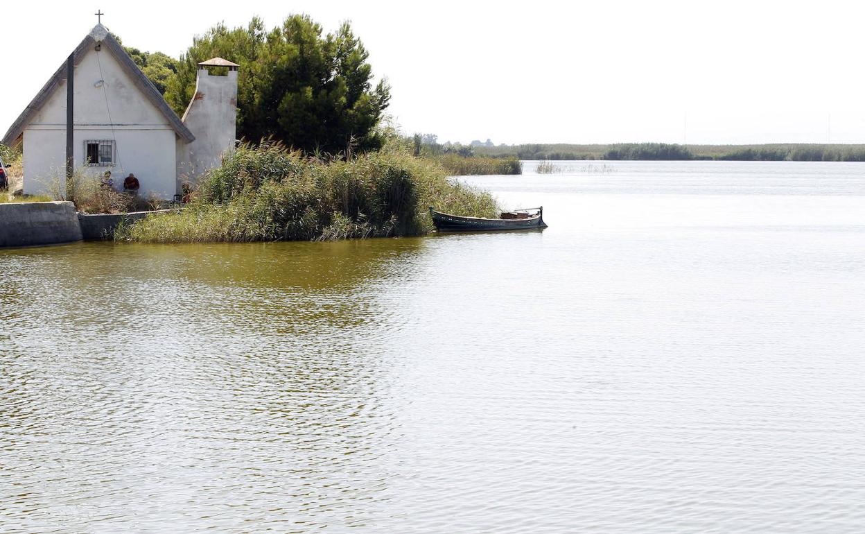 Una casa rodeada de vegetación en La Albufera.