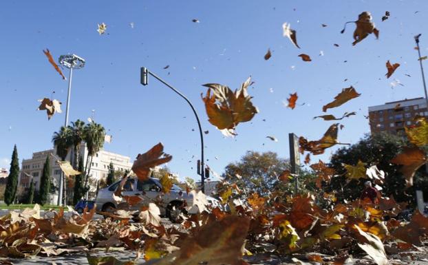 Viento en Valencia. 