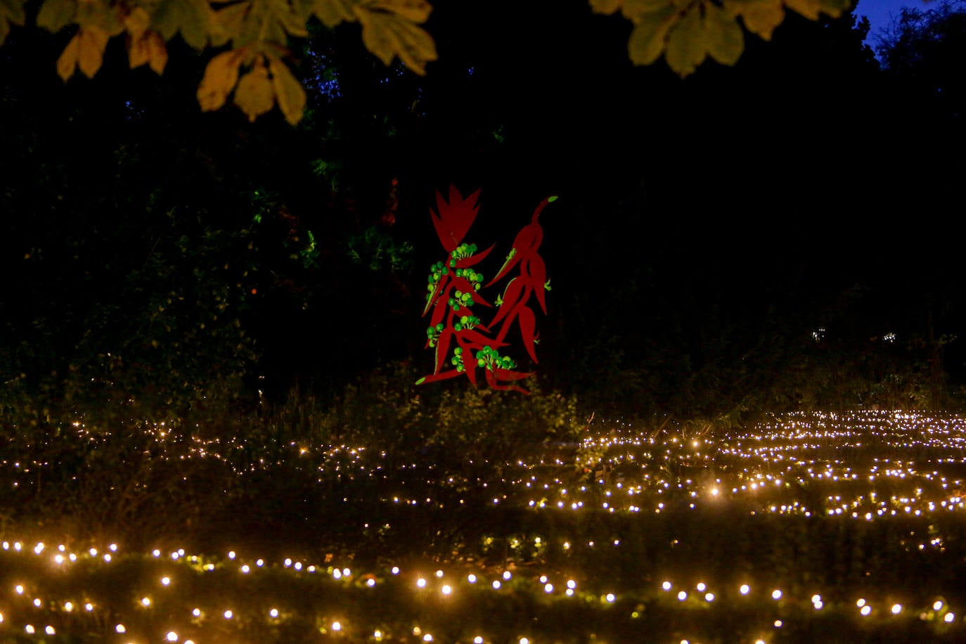 Iluminación del espectáculo 'Las Luces del Real Jardín Botánico', que tras su paso por Londres, Berlín, Stuttgart y Dresde llega a Madrid para convertir este espacio verde del centro de la capital en un lugar de ambiente navideño. 