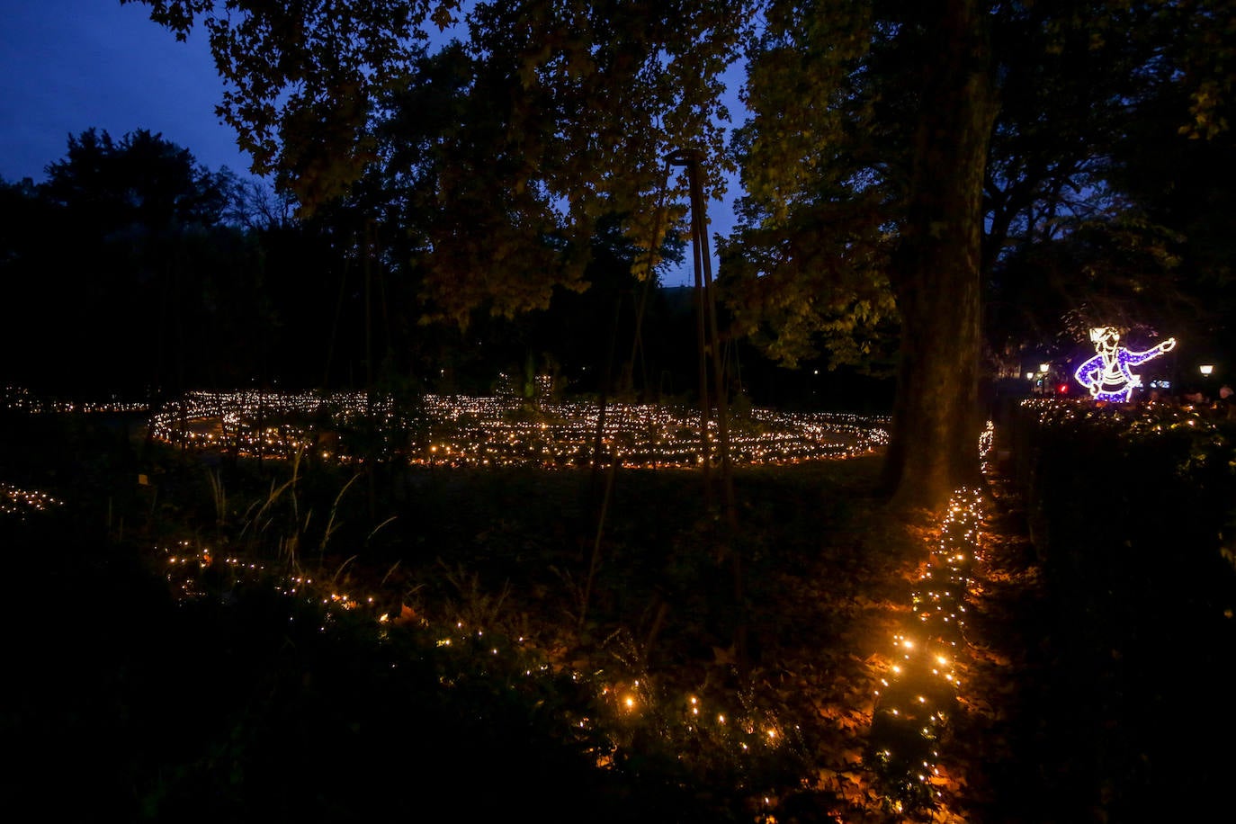 Iluminación del espectáculo 'Las Luces del Real Jardín Botánico', que tras su paso por Londres, Berlín, Stuttgart y Dresde llega a Madrid para convertir este espacio verde del centro de la capital en un lugar de ambiente navideño. 