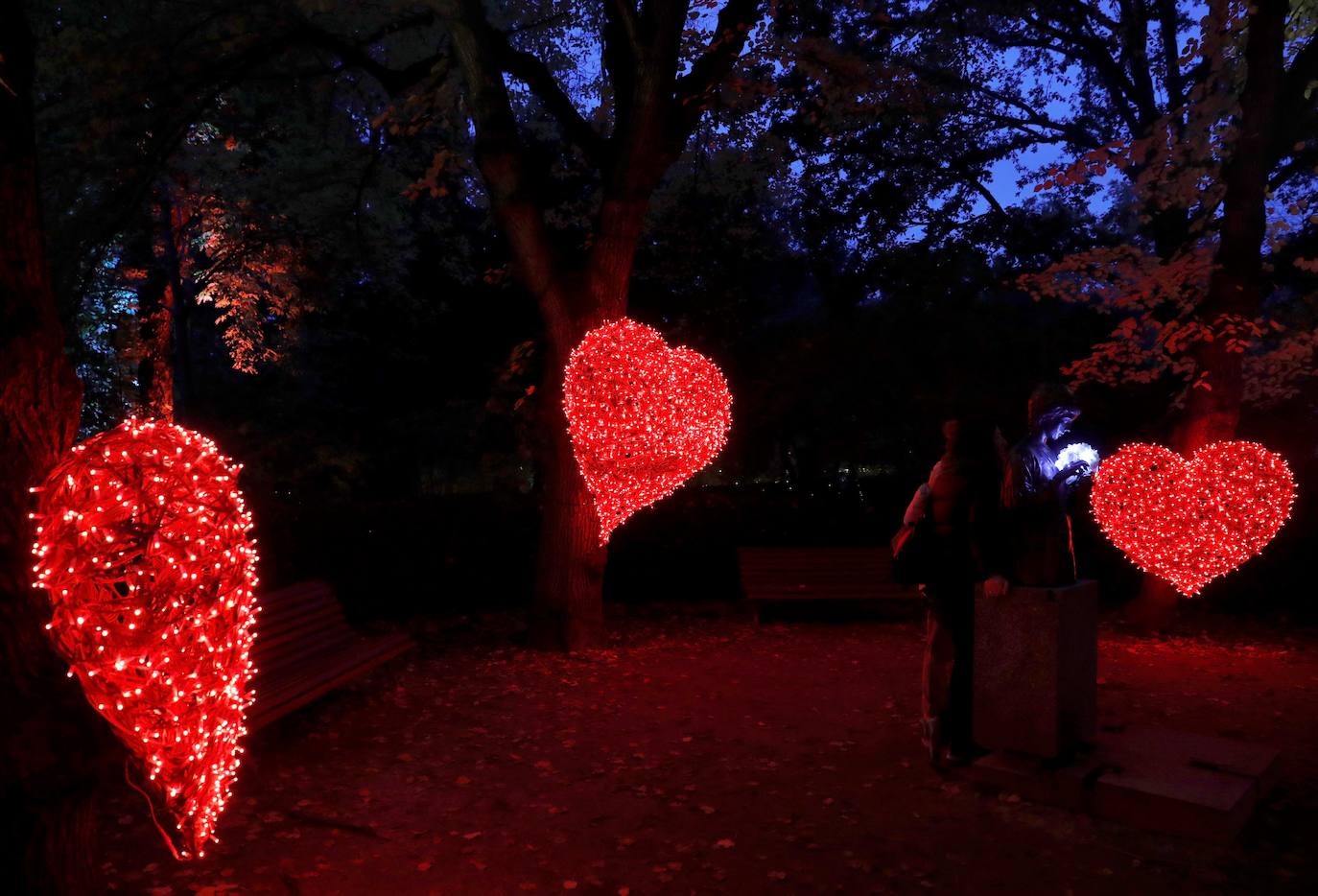 Iluminación del espectáculo 'Las Luces del Real Jardín Botánico', que tras su paso por Londres, Berlín, Stuttgart y Dresde llega a Madrid para convertir este espacio verde del centro de la capital en un lugar de ambiente navideño. 