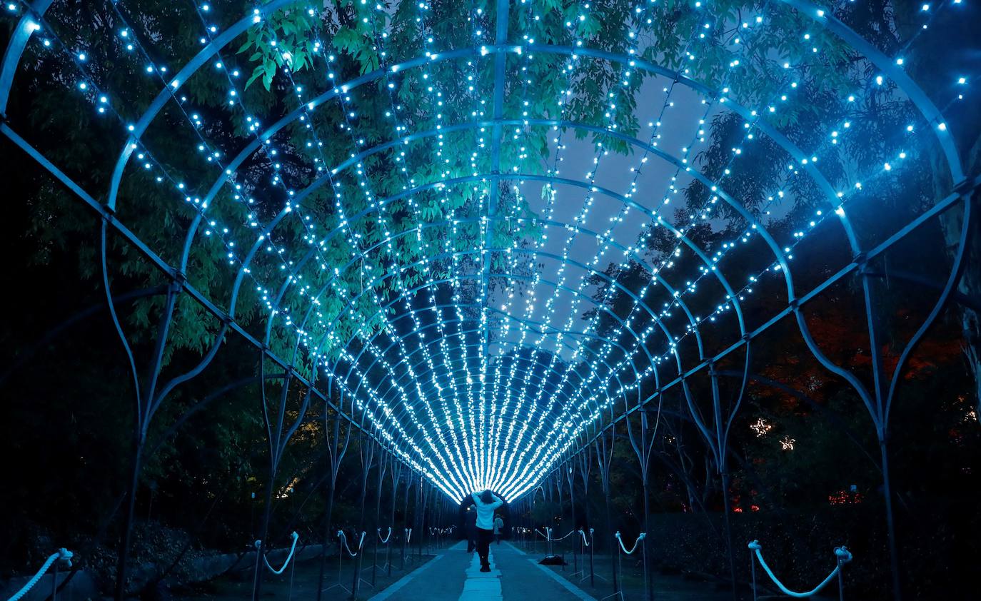 Iluminación del espectáculo 'Las Luces del Real Jardín Botánico', que tras su paso por Londres, Berlín, Stuttgart y Dresde llega a Madrid para convertir este espacio verde del centro de la capital en un lugar de ambiente navideño. 