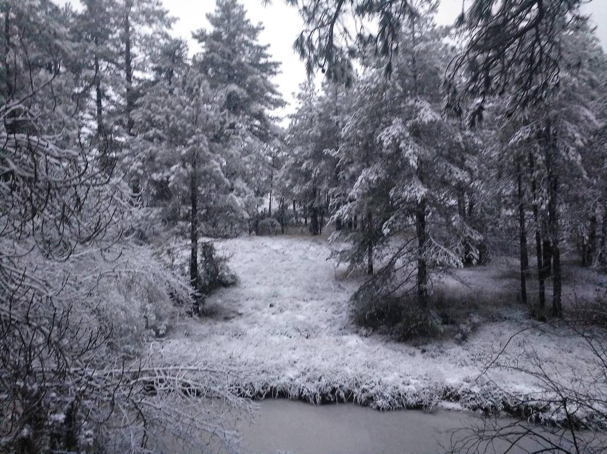 El Parque Natural del Penyagolosa nevado. 