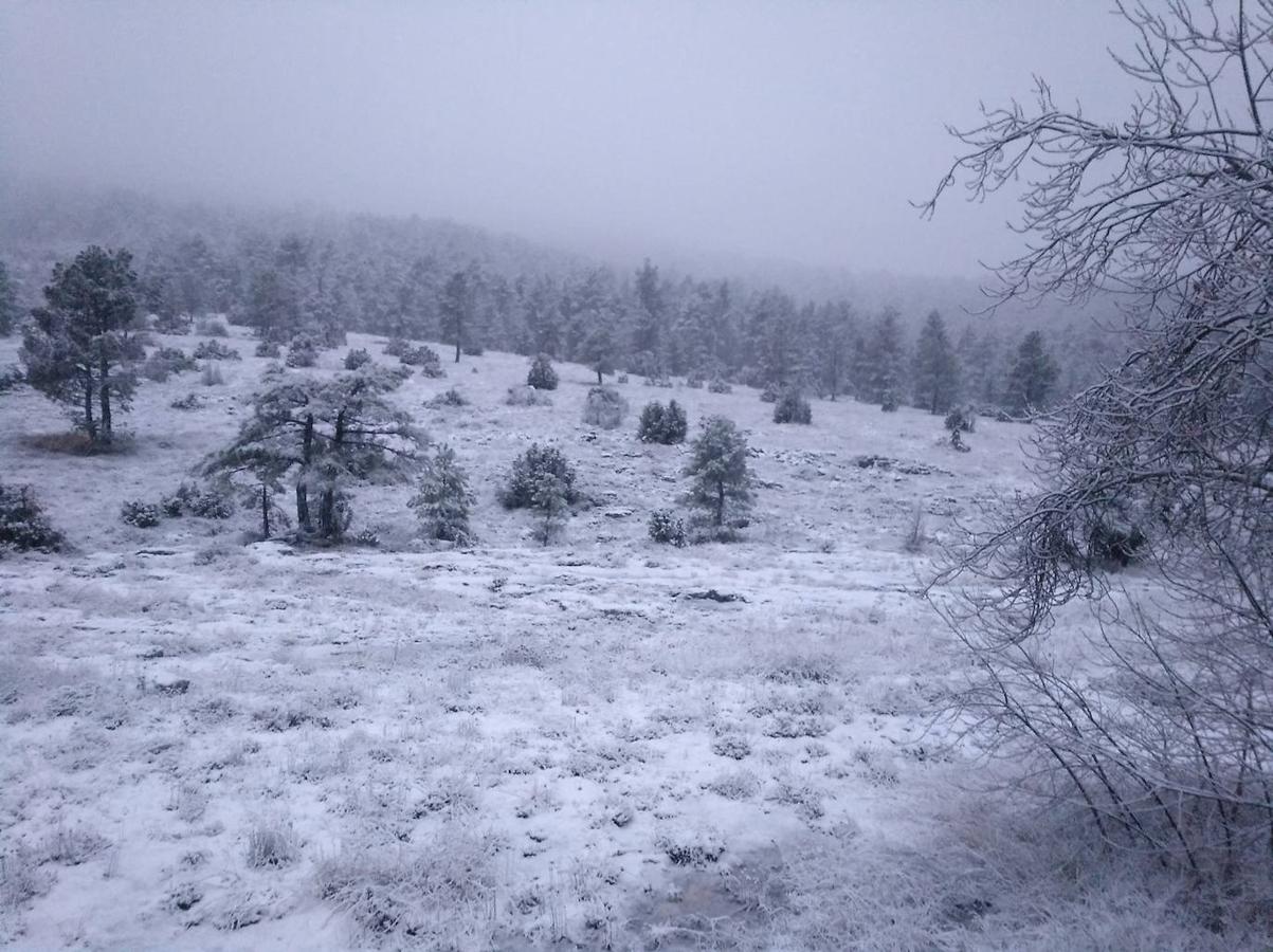 El Parque Natural del Penyagolosa nevado. 