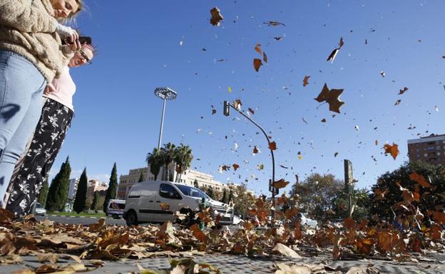 Viento en la ciudad de Valencia.