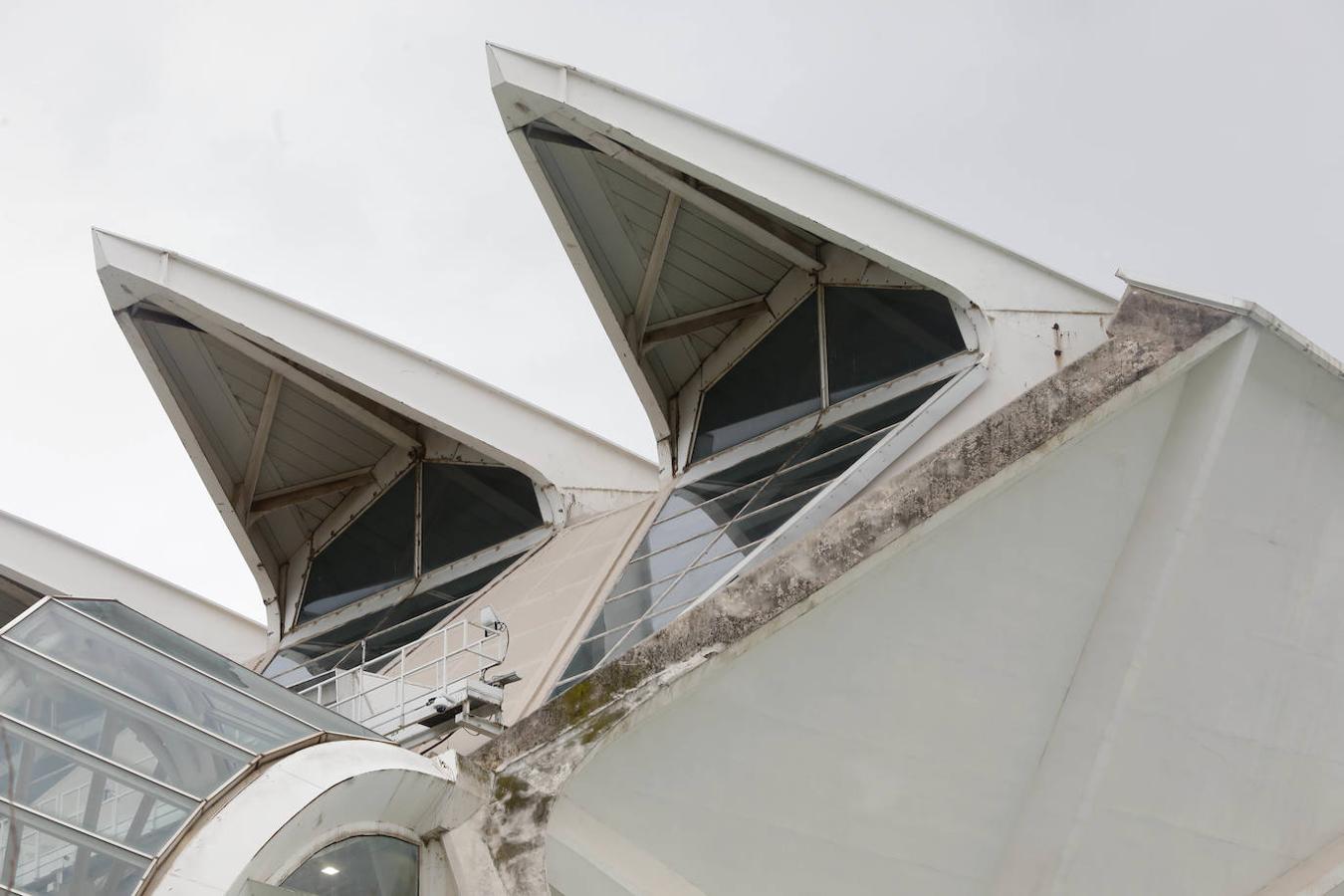 Fotos: Suciedad y falta de pintura afean la Ciudad de las Ciencias