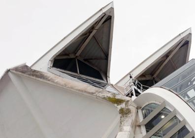 Imagen secundaria 1 - Suciedad, filtraciones o falta de pintura afean el entorno de uno de los imanes turísticos de Valencia, cuyo primer edificio se inauguró hace dos décadas. Cacsa ya prepara la restauración del hormigón del Museo de las Ciencias.