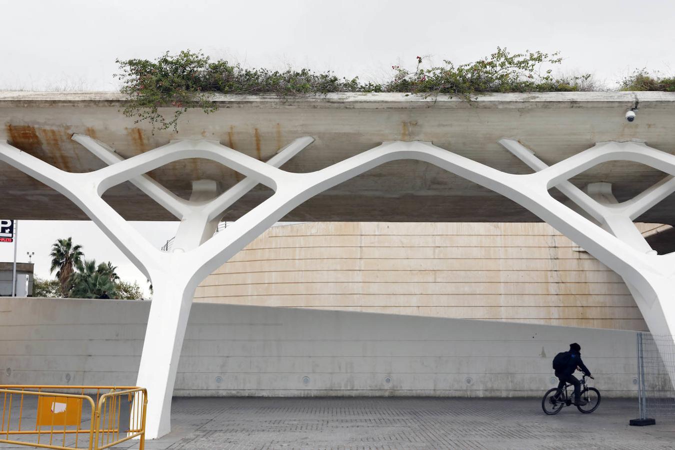 Fotos: Suciedad y falta de pintura afean la Ciudad de las Ciencias