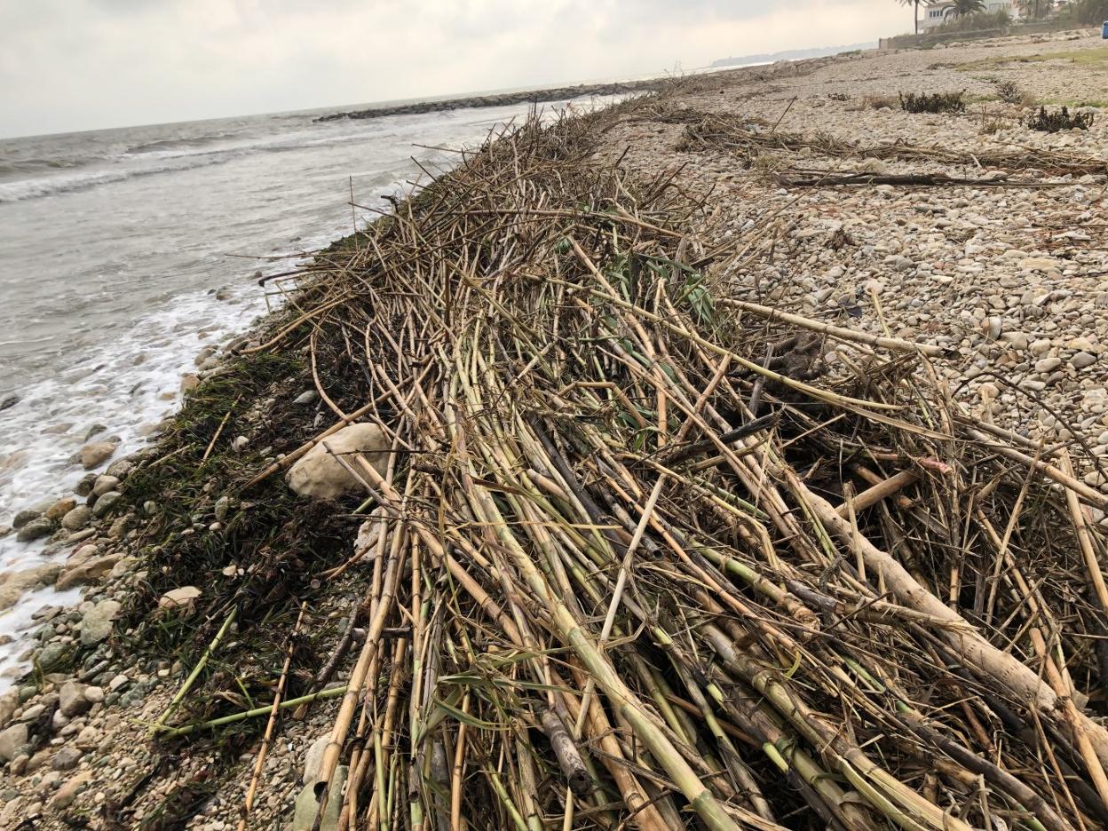 Imagen tras el temporal de septiembre de la playa de l'Almadrava. 