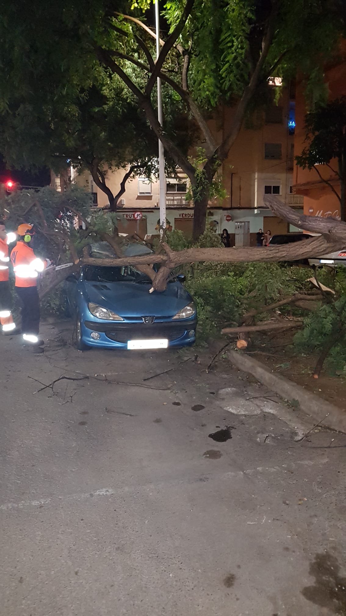 Fotos: Efectos de las fuertes rachas de viento en Valencia