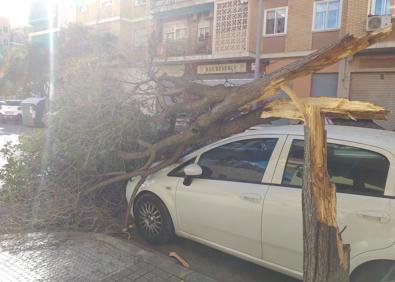 Imagen secundaria 1 - El viento en Valencia provoca el cierre de la pista de hielo, caída de árboles y cancelaciones de trenes