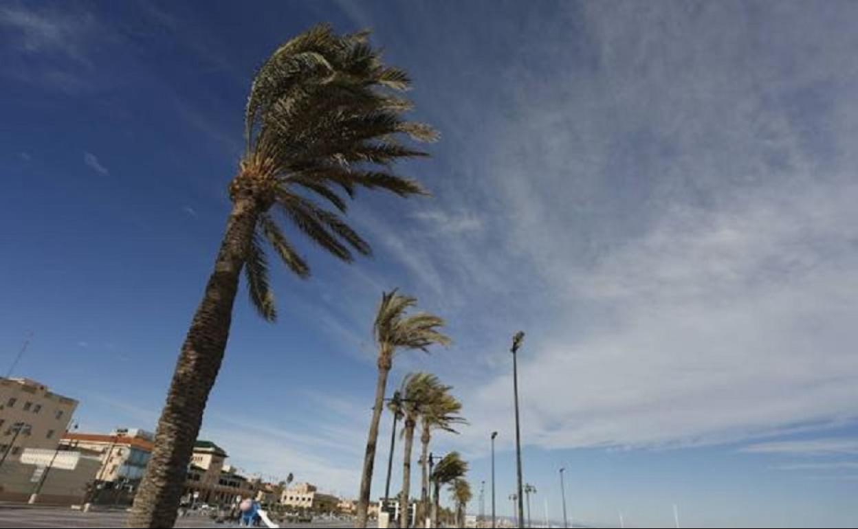 Jornada de viento en Valencia.