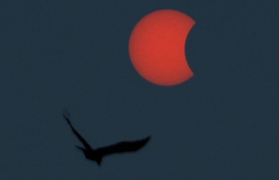 Se produce cuando la Luna no está lo bastante cerca de la Tierra para cubrir completamente el Sol