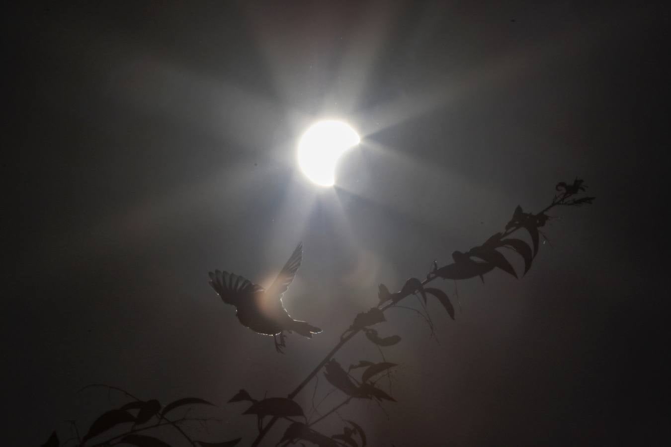 Se produce cuando la Luna no está lo bastante cerca de la Tierra para cubrir completamente el Sol