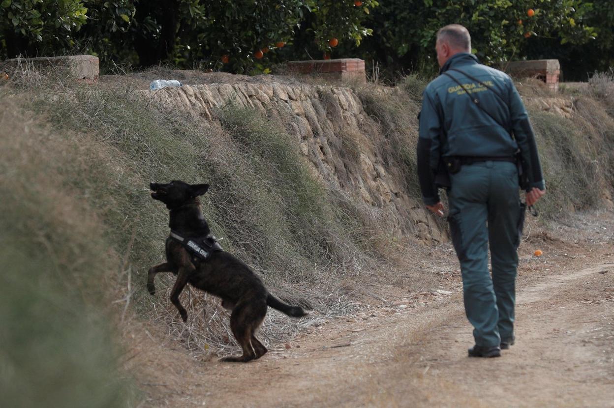 Un guardia civil busca con un perro el cadáver de la joven desaparecida. 