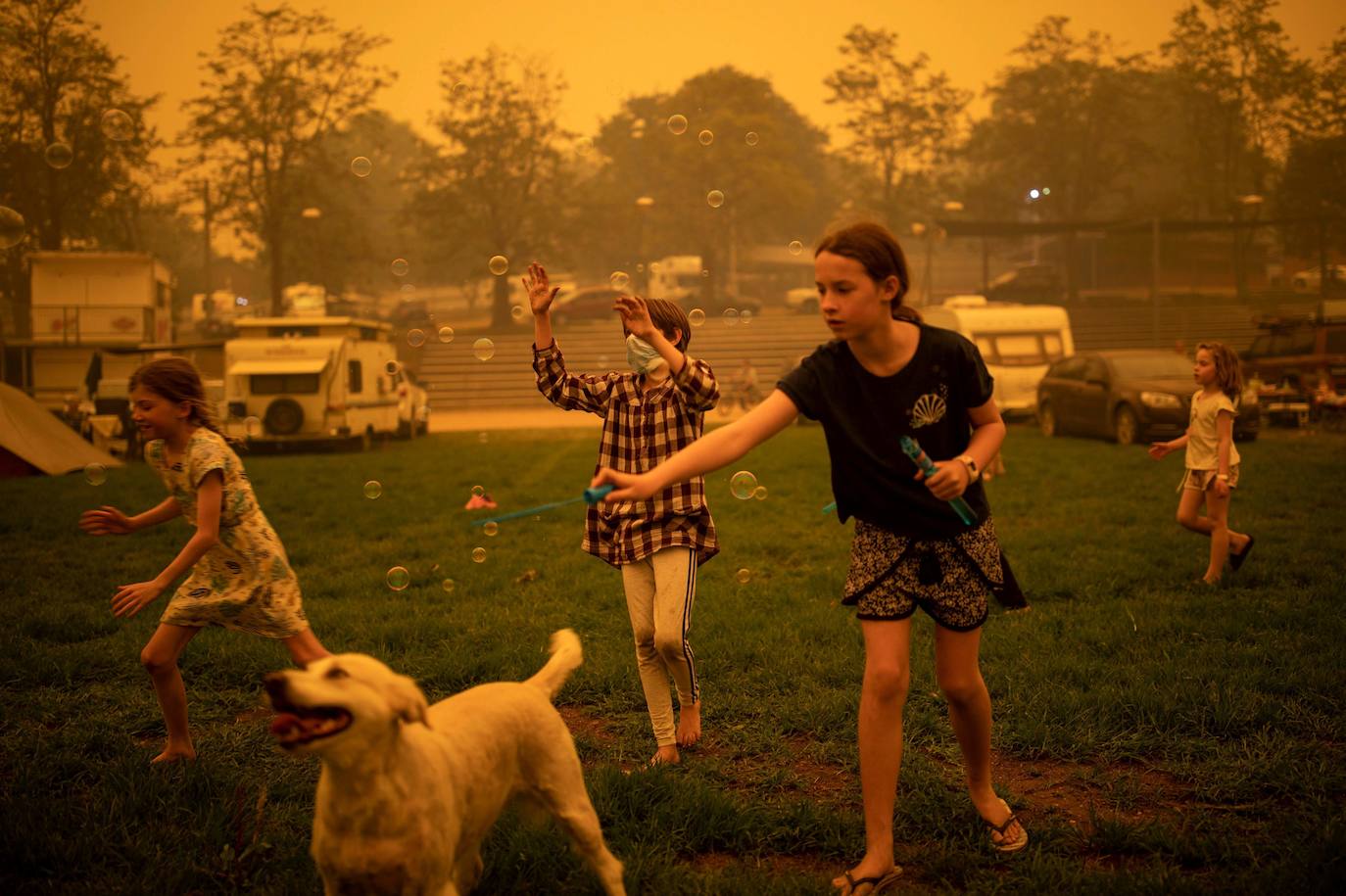 Los incendios forestales que arden sin control en Australia han obligado este martes a miles de personas a refugiarse en playas del sureste del país, en donde el fuego ha provocado 12 muertos y quemado un área similar a la de Costa Rica en los últimos meses. Centenares de incendios arden en esta última jornada del 2019 en Australia, en donde la atención se centra principalmente en la costa suroriental del país debido a las altas temperaturas, los fuertes vientos y el avance de las llamas hacia la costa.