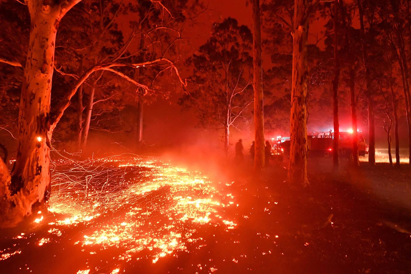 Los incendios forestales que arden sin control en Australia han obligado este martes a miles de personas a refugiarse en playas del sureste del país, en donde el fuego ha provocado 12 muertos y quemado un área similar a la de Costa Rica en los últimos meses. Centenares de incendios arden en esta última jornada del 2019 en Australia, en donde la atención se centra principalmente en la costa suroriental del país debido a las altas temperaturas, los fuertes vientos y el avance de las llamas hacia la costa.