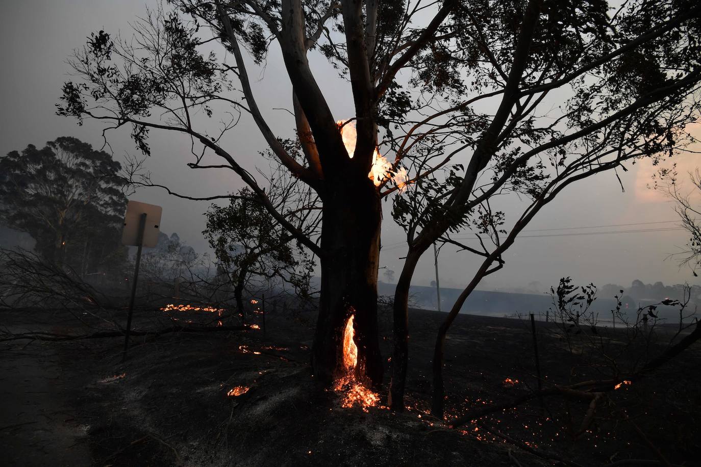 Los incendios forestales que arden sin control en Australia han obligado este martes a miles de personas a refugiarse en playas del sureste del país, en donde el fuego ha provocado 12 muertos y quemado un área similar a la de Costa Rica en los últimos meses. Centenares de incendios arden en esta última jornada del 2019 en Australia, en donde la atención se centra principalmente en la costa suroriental del país debido a las altas temperaturas, los fuertes vientos y el avance de las llamas hacia la costa.