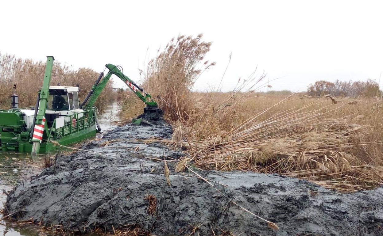 Una máquina, sacando lodo del fondo de la Albufera.