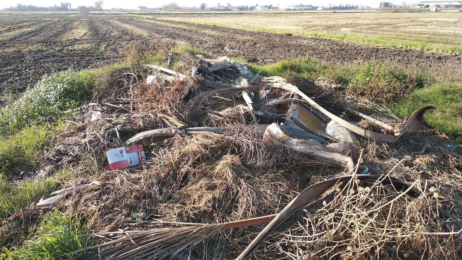 Restos de poda en el Camino La Viña, en las inmediaciones de la partida del Tremolar. 