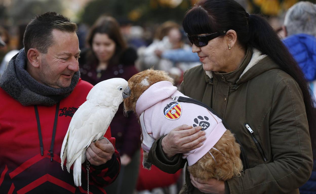 Dos asistentes a la cita de la bendición de animales con sus hurones. 