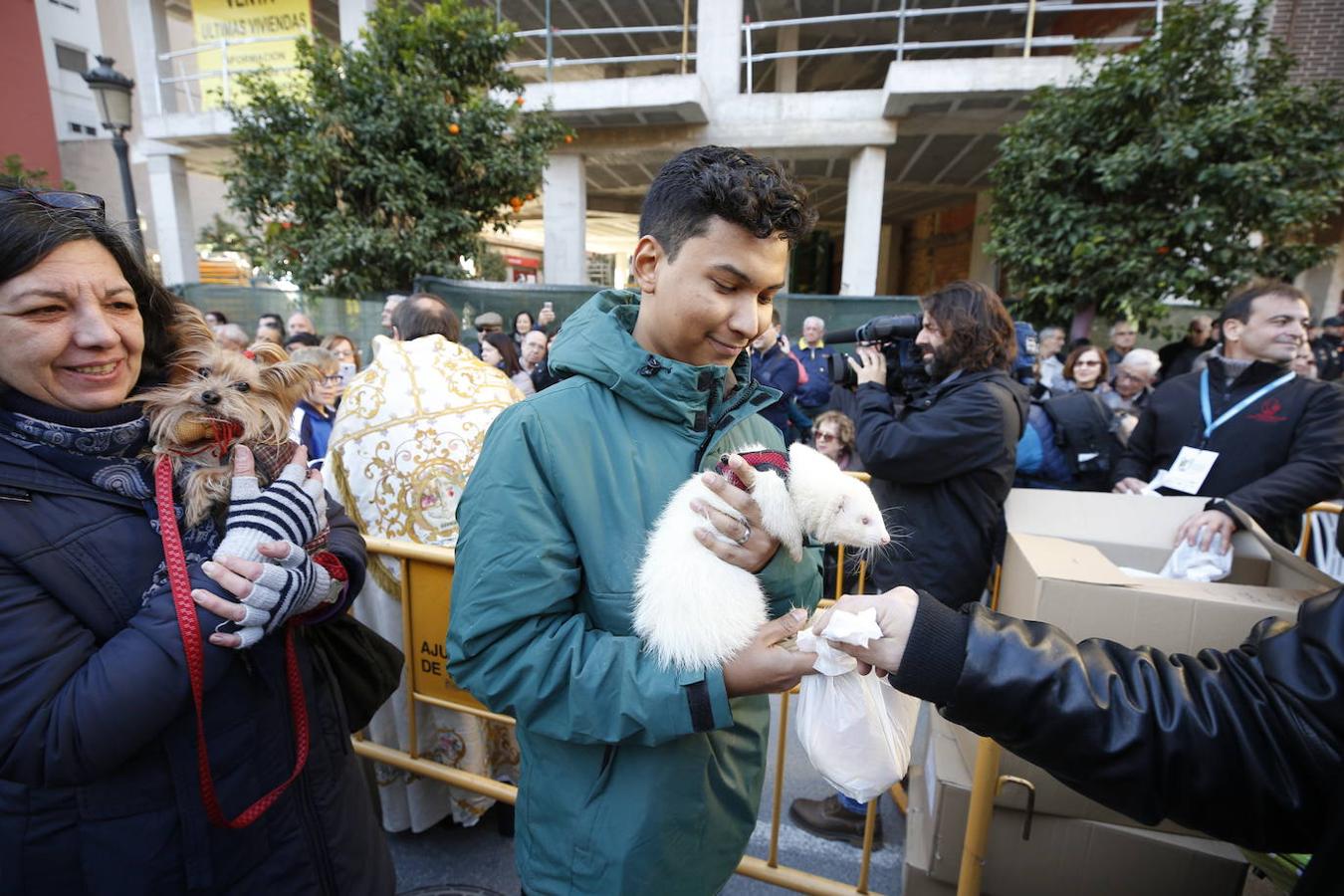 Fotos: Las mascotas celebran San Antonio en Valencia